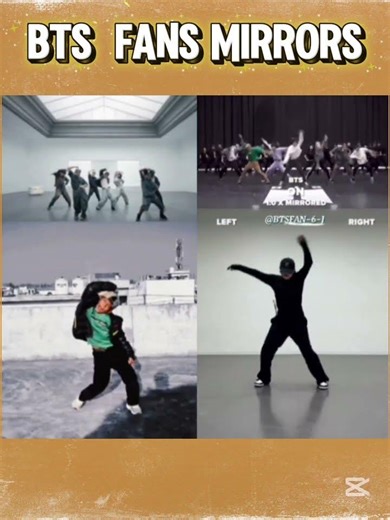 bts fan mirror dance enjoy