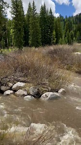 1.5K views · 64 reactions | Our remaining snow is melting fast. Sunrise lift will open for disc golf and scenic rides tomorrow. 累 Link lift will be open tomorrow for lift-served biking, hiking, and scenic rides. 23/24 Ikon Pass holders enjoy free scenic chairlift rides all summer. Single-ride and full-day lift tickets will be discounted by 35% this weekend. Sunrise lift will be closed to hiking and biking. No uphill biking is allowed at this time. | Solitude Mountain Resort | Facebook