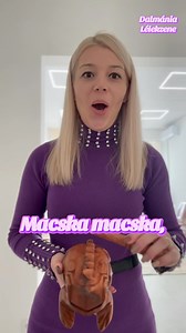 20K views · 202 reactions | Macska macska cuki kis mondókával játszottunk szerdán a Dalmánia Lélekzene baba-mama órán! Gondoltam készítek belőle egy videót Guiró a békával. Tanuljátok meg aztán bohóckodjatok vele a kisbabákkal! 勺 #dalmania #babamamaprogram #gyerekeknek #macskamondóka | Dalmánia Mesezene | Facebook