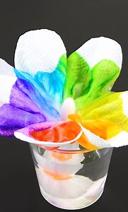 Toilet paper magic Rainbow Flower | DIY by Pipe-Cleaner-Crafts B