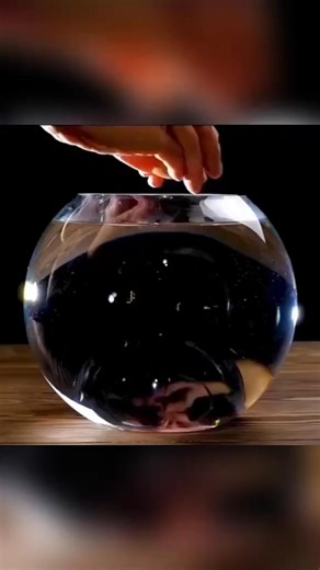 This is not magic; it's real science experiments you can do at home.#foryou #creative #funnyvideo #viralvideo #learontiktok #lifehacks | Jobetty Fullenone
