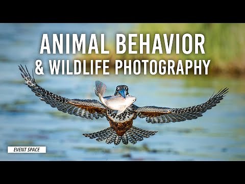 Secret Life of Animals: Behavior & Wildlife Photography | B&H Event Space