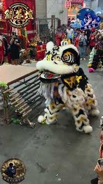 Traditional lion dance performance