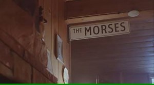 91 reactions · 88 shares | Did you miss our commercial during the Super Bowl? Don't worry, you can re-watch it right here on our Facebook! | Mike Morse Law Firm | Facebook