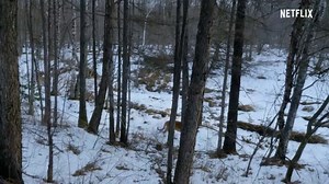 Our Planet _ Forests _ FULL EPISODE _ Netflix