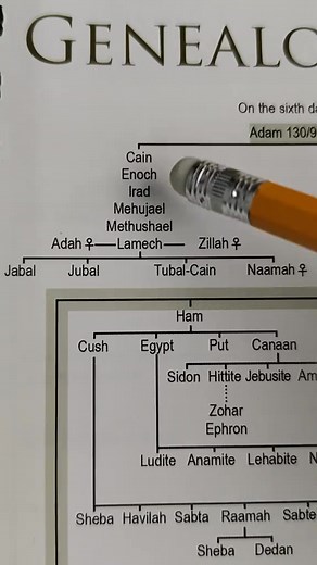 📜 What if you could see the Bible's entire narrative in one view? From creation to Revelation, the Rose Book of Bible Charts, Maps & Time Lines helps you understand every major Bible event within its historical context. Gain clarity on the Bible's timeline, geography, and key figures, making your study of Scripture richer and more meaningful. 👉👉 Order today and get a fresh perspective on God’s Word. | Xfungoods3