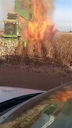 131K views · 304 reactions | Cotton harvesters are highly flammable because dry cotton and dust easily ignite from engine heat or sparks. | Metzgerei Ogunquit Studio | Facebook