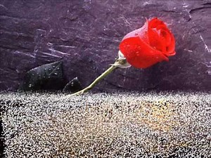 Jevetta Steele Calling You lyrics