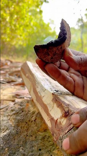 Survival Skills: How to Start a Fire with Friction #survival #camping #bushcraft #outdoors #fire