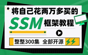 【Java反卷斗士】将自己花2万多买的SSM（Spring+SpringMVC+Mybatis）框架全套教程，整整300集，全部开源分享给大家！
