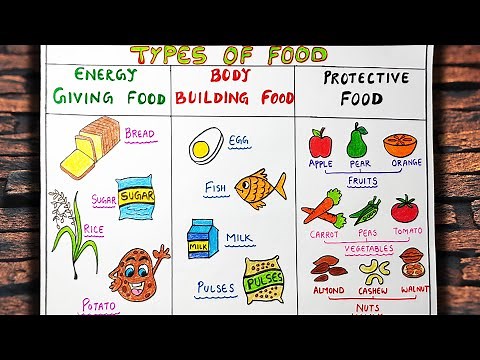 Types of Food | Energy Giving Food | Body Building Food | Protective Food | Different types of Food