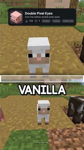 Minecraft Double Pixel Eyes 26.1 #shorts #minecraft