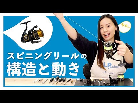 DAIWAスピニングリールの構造と動き