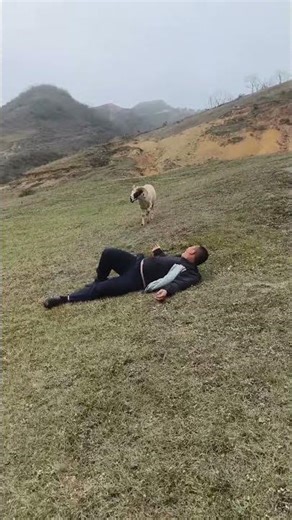 #OriginalRuralVideos #OriginalVideosOfLeapingGoats