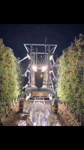 Ingenious machine to harvest fruit #harvestfruit #innovation #technology #agricultura #ingenious_tv