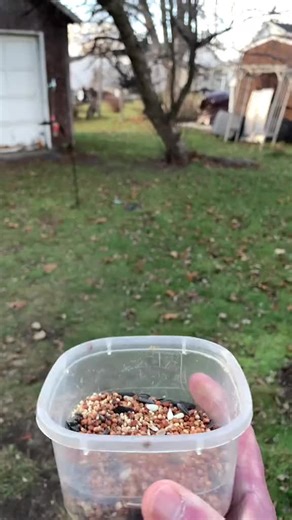 ChickaDDDs (@chickaddds)’s videos with original sound - ChickaDDDs