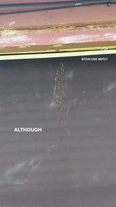 5.9K views · 139 reactions |  WHAT’S THE BUZZ  The carpenter bee is pretty interesting as it has the ability to bore almost a perfect hole in wood to make its nest. Often times even a single carpenter bee will bore many holes fairly close to one another. This can we can a structure. #homeinspection #homeinspections #wooddestroyinginsects #carpenterbee #bees #nature @texas.edge.inspect | Texas Edge Home Inspections, PLLC | Facebook