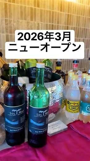 【Newオープン】サービス豪華すぎるプライベートサウナ付き贅沢ヴィラ / 静岡県 ソラトニワ熱海伊豆山&ソラトニワ別邸 (旧 ゆとりろ熱海) #shorts