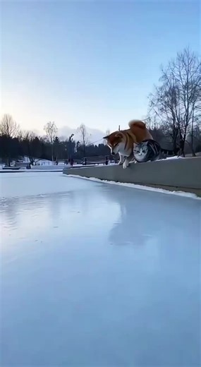 Account Delete (@accountdelete2026)’s videos with original sound - Account Delete