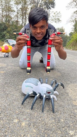 2 Ta Rc Snake And Remote Wala Spider Unboxing Dekho😛