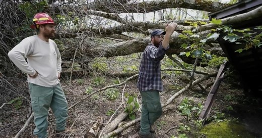 Volunteers restore Appalachian Trail after Hurricane Helene