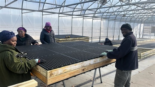 LSI buys Dogpatch Urban Farms to grow its refugee farming program