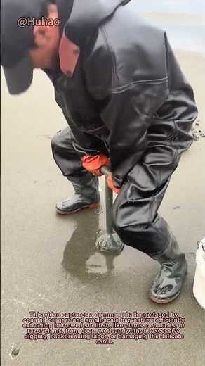 Beach Harvest Hack: The Simple Tube Method for Fast Shellfish Digging