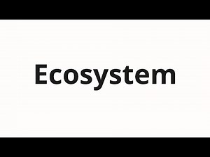 How to pronounce Ecosystem