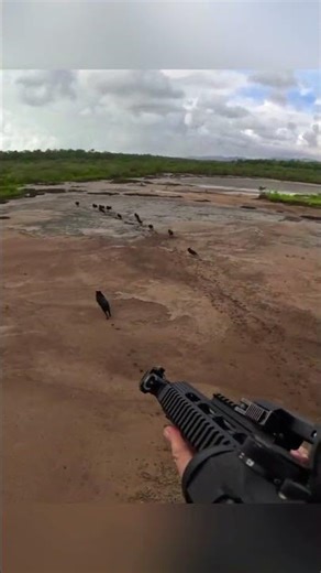 Four wild boars. One helicopter. Zero escape.” 🚁 #охота #wildlife #hunting #chasse #wildboar #nature