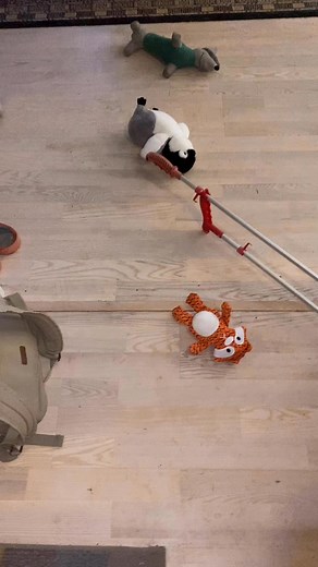 Kirsten Hognestad on Reels