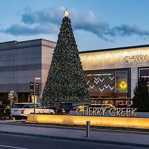 [Hot Item] 20FT 30FT 40FT Giant Artificial Remote Realistic Control Christmas Tree with Glitter Branch for Sale