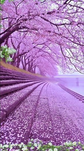 Soothing Nature Video | Peaceful Landscapes & Views 005