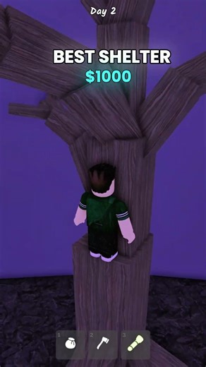 Testing the $1 vs $1,000,000 SHELTER in Roblox 99 Nights! 🏠👹