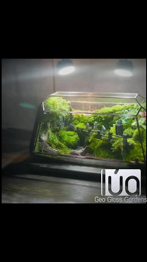 The Day after Tomorrow - by Lúa #luadesignterrarium #lúadesign