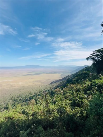 The Ngorongoro Crater viewpoint is one of the most breathtaking sights in Africa. From the rim, you look down into the world’s largest intact volcanic caldera — a natural sanctuary filled with wildlife, lakes, and endless plains. Early mornings bring rolling mist, golden sunrise, and often herds of buffalo, elephants, and flamingos visible far below. It’s a place where nature feels untouched, powerful, and alive. A true “wow” moment of any Tanzania safari 🐘 | Habitat Adventures Travel