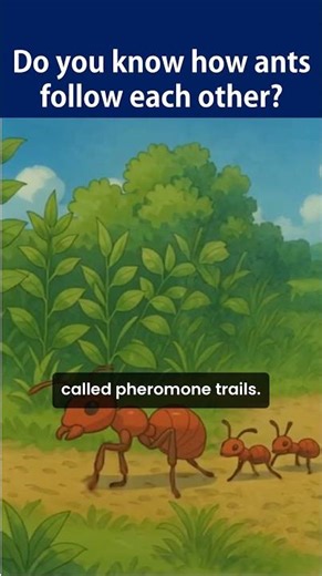 Why Ants Follow Each Other ?👀🐜 #facts