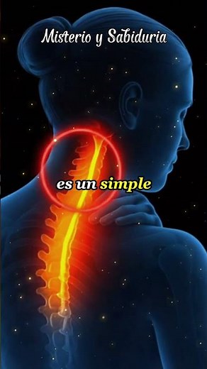 "The Hidden Power of the Vagus Nerve: Activate It and Say Goodbye to Stress and Anxiety"