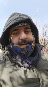 5.7K views · 99 reactions | Relocating bee's is essential. Relocating...