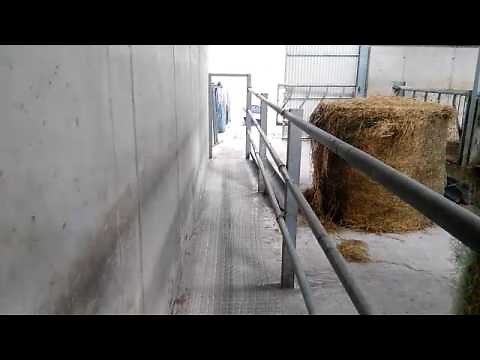 Farm buildings: 4 bay beef shed