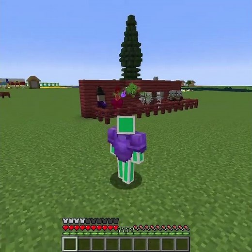 REAL Projectile Protection in Minecraft
