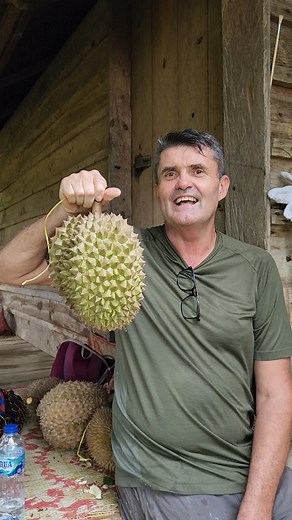 11K reactions · 48 shares | Kebun Durian Dabul dan Madam Dewi Vigne, part 12. Dabul, Uda Bule asal Prancis berkebun durian di Ranah Minang, membangun agro wisata utk masa depan. #delongan #duriandabul | Topan Adriansyah | Facebook