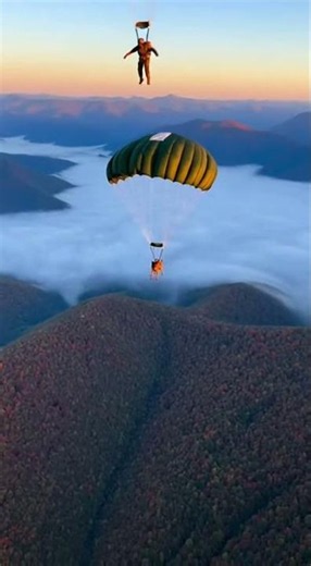 This Military K9 Jumped Out of a Plane… and Never Flinched 🐾🪂