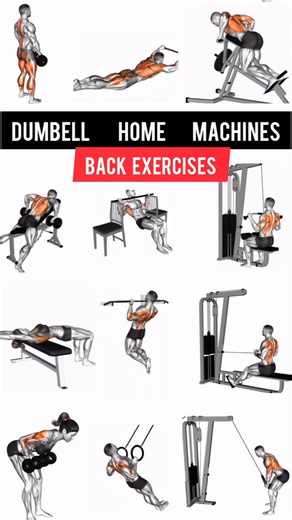 𝗔𝗭𝗥𝗔 𝗤𝗔𝗗𝗜𝗥 | 𝗙𝗜𝗧𝗡𝗘𝗦𝗦 𝗧𝗥𝗔𝗜𝗡𝗘𝗥 on Instagram: "Dumbells / home / machines back exercises"