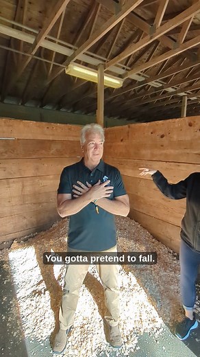 Trust falls are hard, ok? 😅 #trustfall #horsebedding #guardianhorsebedding | Guardian Horse Bedding