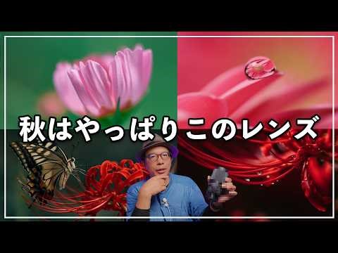【初心者必見】“カメラ設定が学べるレンズ”で写真が劇的に上達する