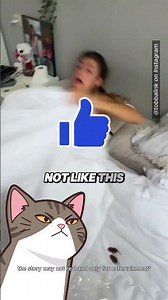 This Man Likes Seeing His Wife Scared 🤣 #shorts (@tobbalink)