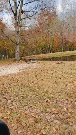 Taking a stroll through our natural trails, and this is our view #visitva #campgrounds #rvcamping #tentcamping | Isle of Wight Family CampGround