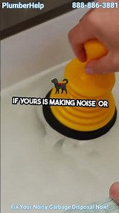 Fix Your Noisy Garbage Disposal Now #PlumberHelp #plumbingissues #plumber #plumbing