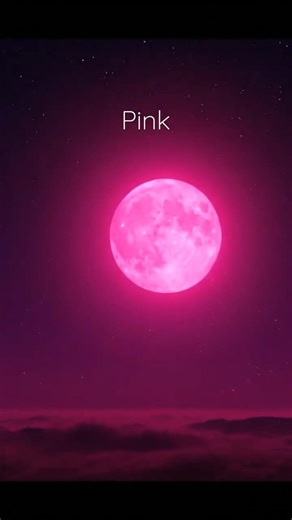 PINK Full Moon Tonight