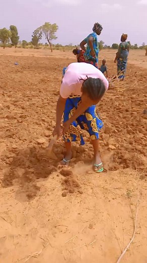 Empowering Women in Agriculture: Farming in Arid Lands